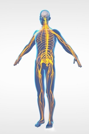 Occipital Nerve Blocks