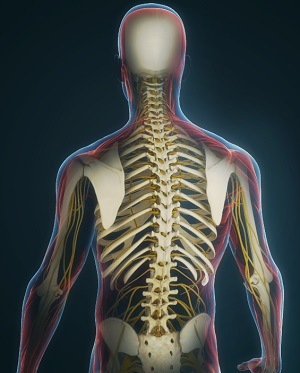 Transforaminal Epidural Block